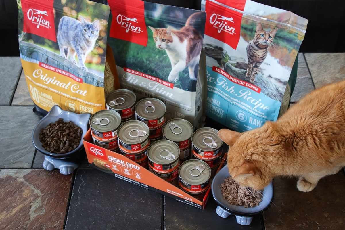 Orijen Dry Cat Food Review: Is It Worth It in 2026?